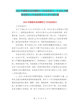 2024年销售员试用期转正工作总结范文1与2024年销售员转正工作总结范文与工作计划汇编