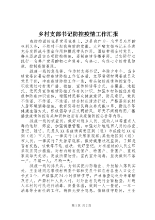 乡村支部书记防控疫情工作汇报