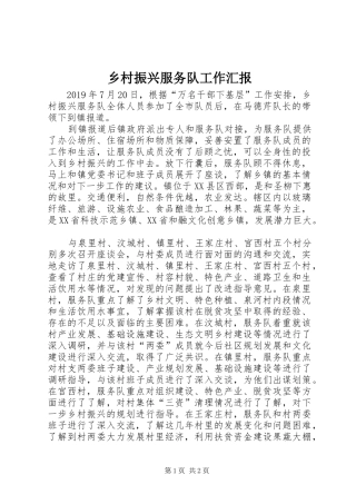 乡村振兴服务队工作汇报