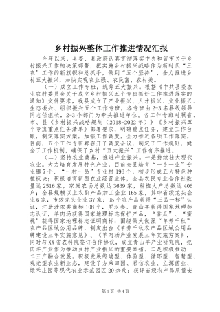 乡村振兴整体工作推进情况汇报
