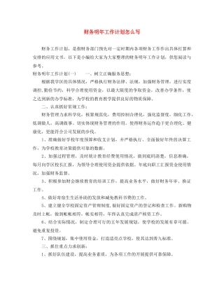 财务明年工作计划怎么写 