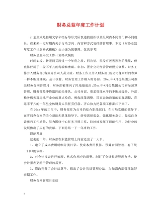 财务总监年度工作计划2 