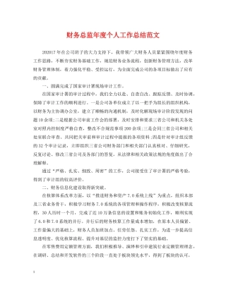 财务总监年度个人工作总结范文 
