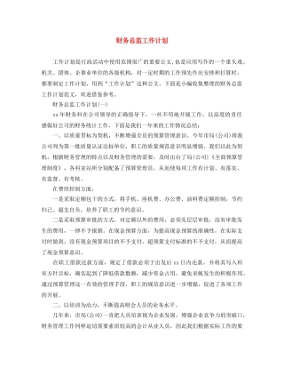 财务总监工作计划 