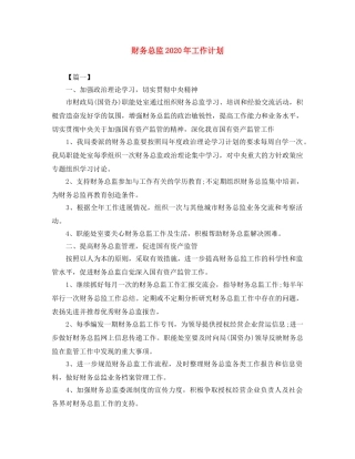 财务总监2020年工作计划 
