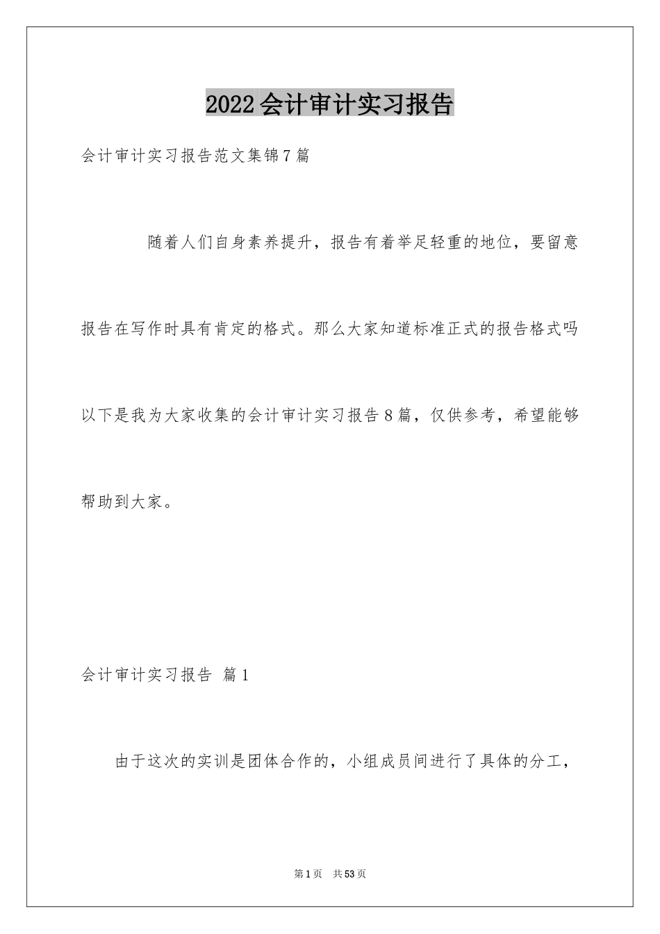 2024会计审计实习报告_1_第1页