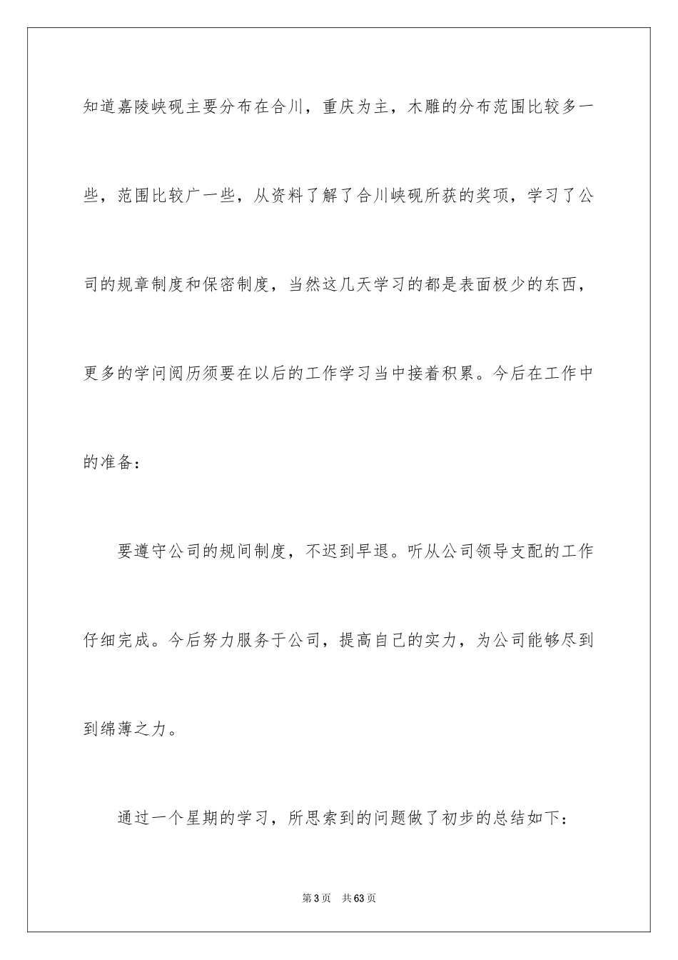 2024一周的工作总结_第3页