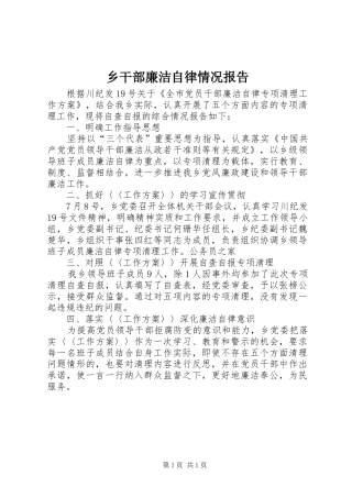 乡干部廉洁自律情况报告