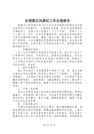 乡团委正风肃纪工作自查报告