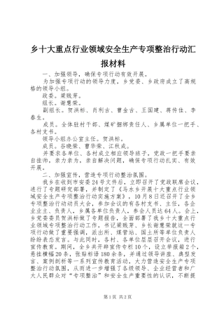 乡十大重点行业领域安全生产专项整治行动汇报材料