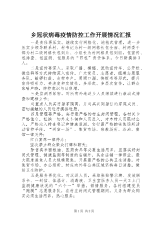 乡冠状病毒疫情防控工作开展情况汇报