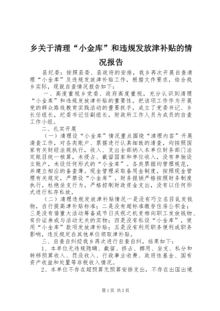 乡关于清理“小金库”和违规发放津补贴的情况报告