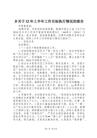 乡关于XX年上半年工作目标执行情况的报告