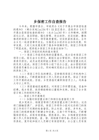 乡保密工作自查报告