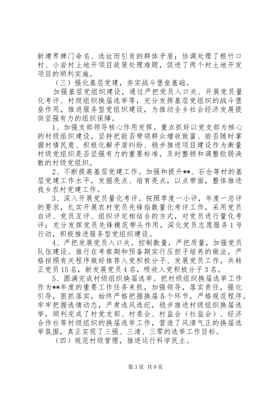 乡代表大会报告_第3页