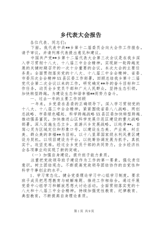 乡代表大会报告