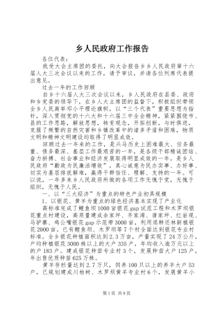 乡人民政府工作报告