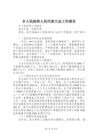 乡人民政府人民代表大会工作报告