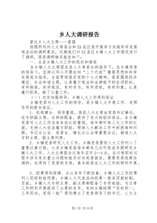 乡人大调研报告