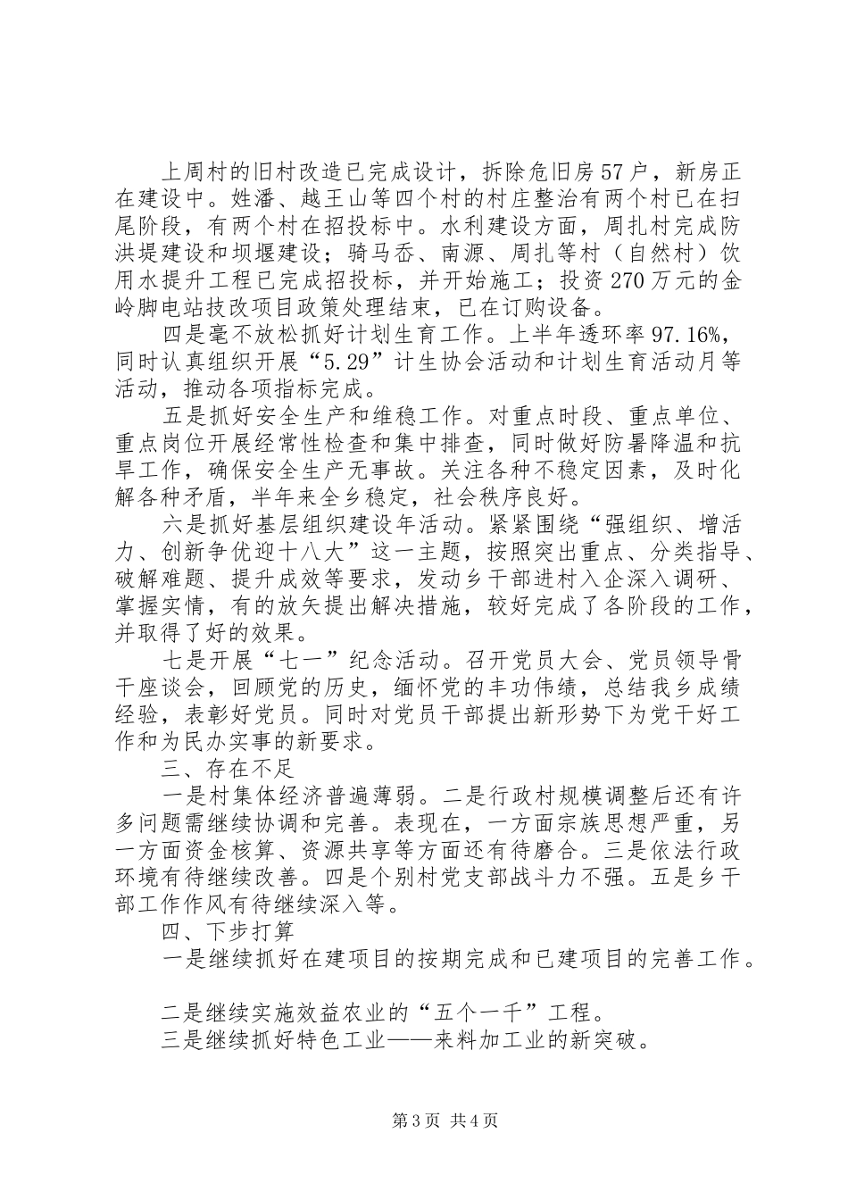 乡人大政府半年度汇报材料_第3页