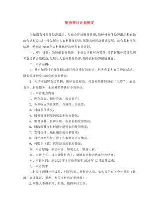财务审计计划例文 