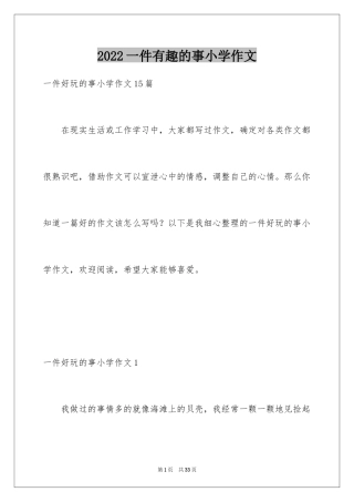2024一件有趣的事小学作文_5