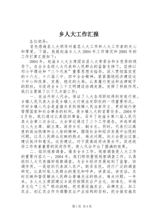 乡人大工作汇报