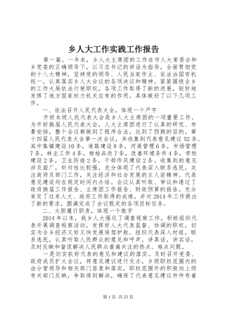乡人大工作实践工作报告