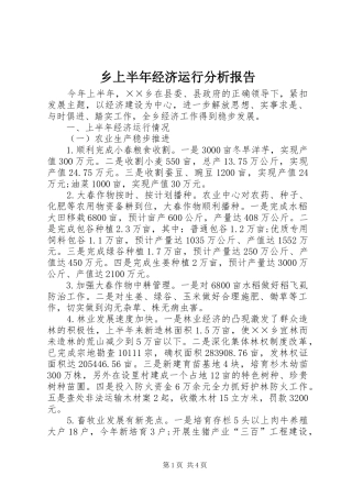 乡上半年经济运行分析报告