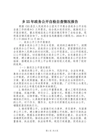 乡XX年政务公开自检自查情况报告