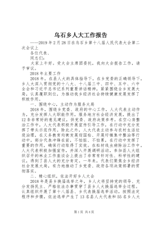乌石乡人大工作报告