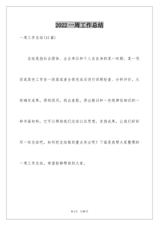 2024一周工作总结_7