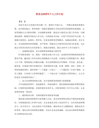 财务出纳明年个人工作计划 
