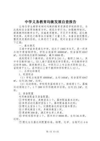 中学义务教育均衡发展自查报告