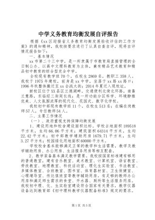 中学义务教育均衡发展自评报告