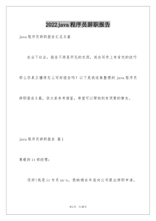 2024java程序员辞职报告_8