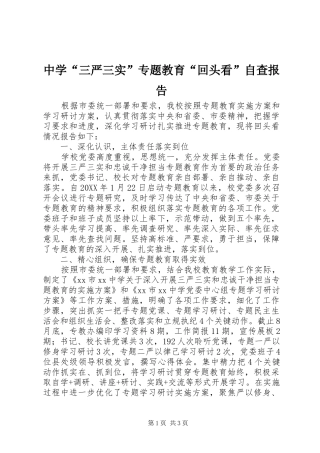中学“三严三实”专题教育“回头看”自查报告