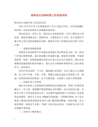财务会计出纳年度工作总结评语 