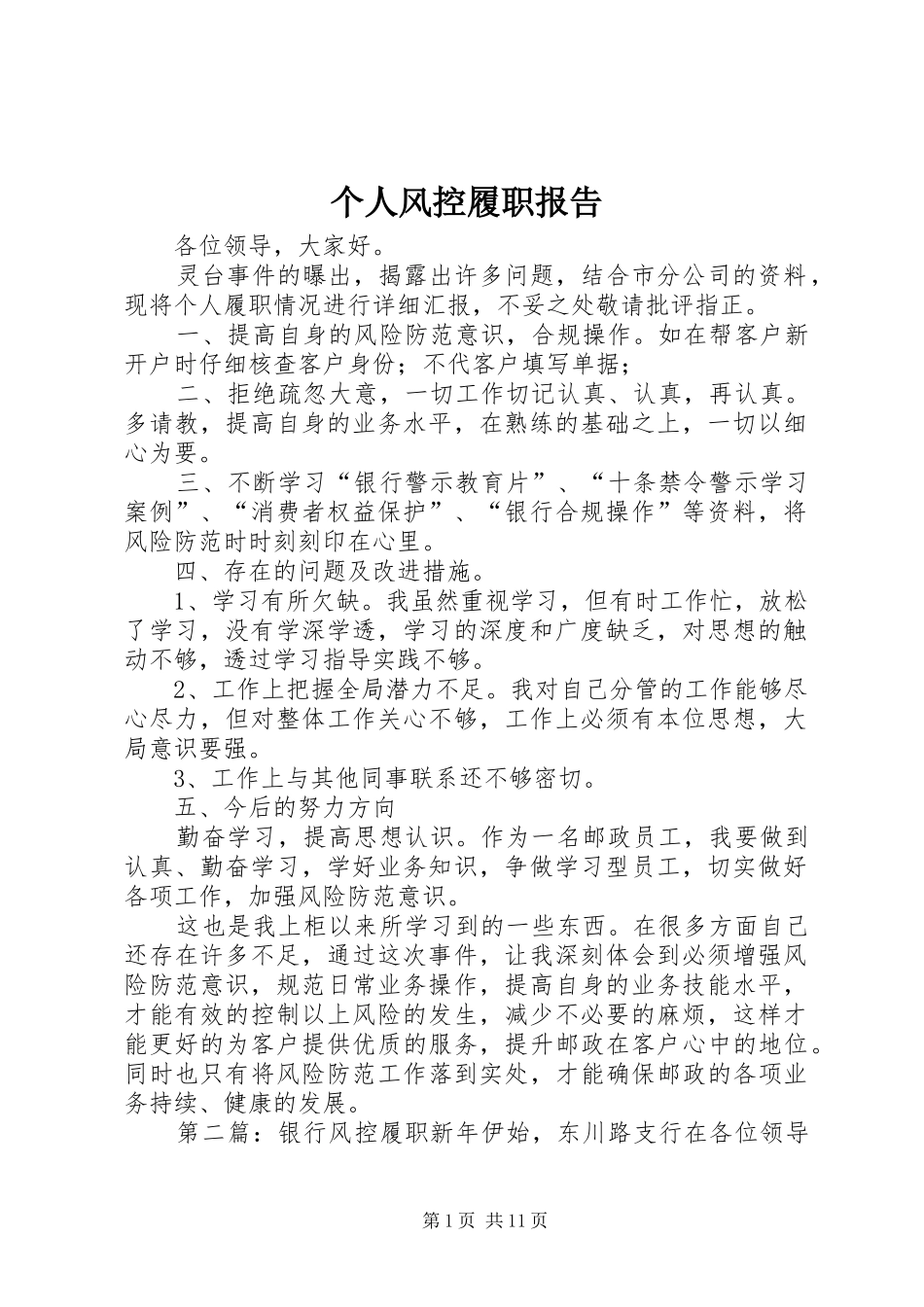 个人风控履职报告_第1页