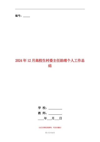 2024年12月大学生村委主任助理个人工作总结