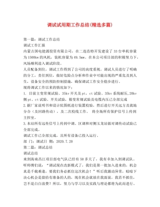 调试试用期工作总结(精选多篇) 