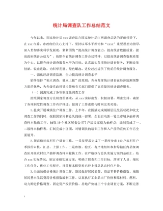 统计局调查队工作总结范文 