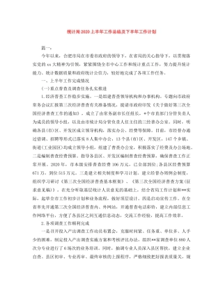 统计局2020上半年工作总结及下半年工作计划 