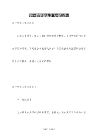 2024会计学毕业实习报告_4