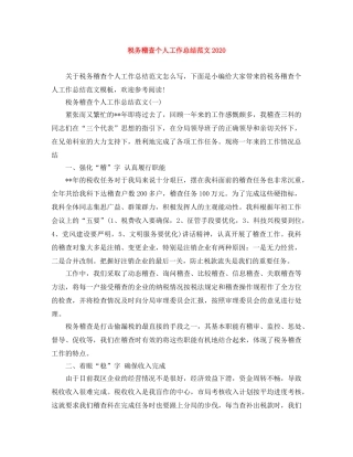 税务稽查个人工作总结范文2020 