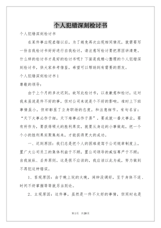 个人犯错深刻检讨书