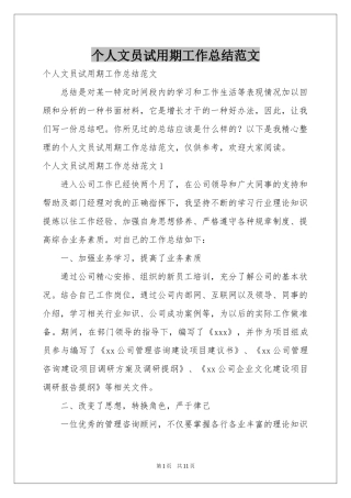 个人文员试用期工作参考总结范本