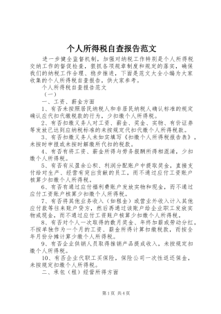个人所得税自查报告范文