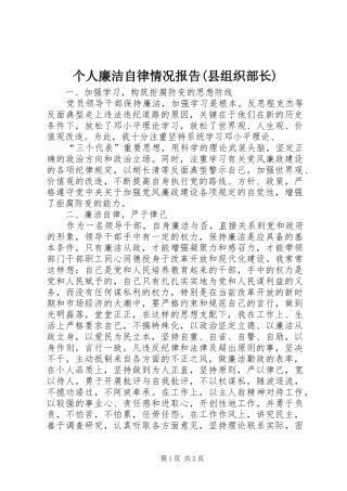 个人廉洁自律情况报告(县组织部长)