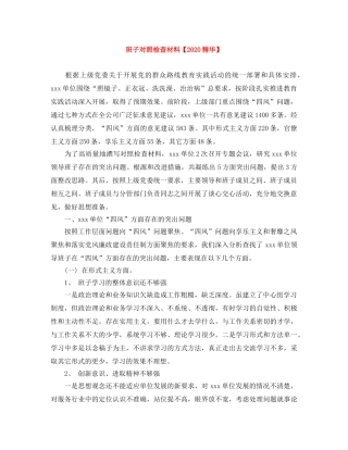 班子对照检查材料【2020精华】 